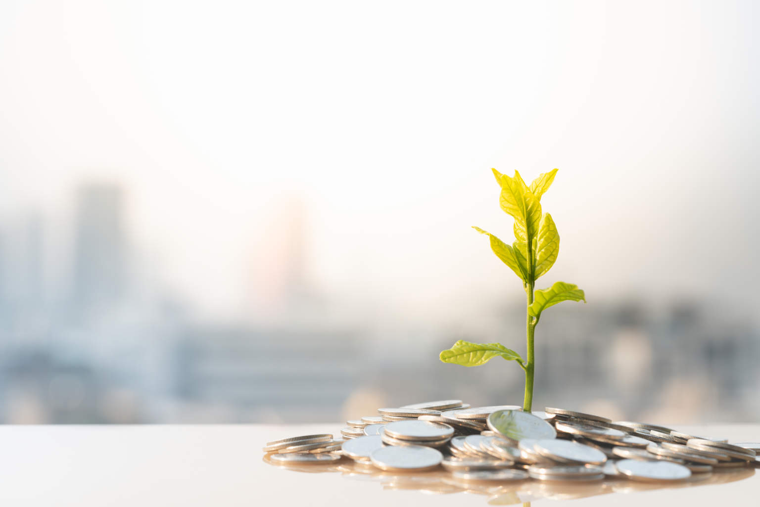 Young plant growing on a pile of coins, symbolizing RaiderChip's growth after its seed capital round